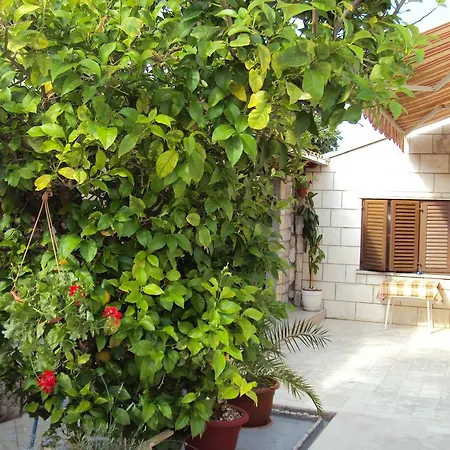 Apartment Lemon