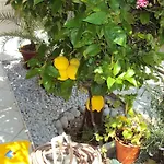 Apartman Lemon