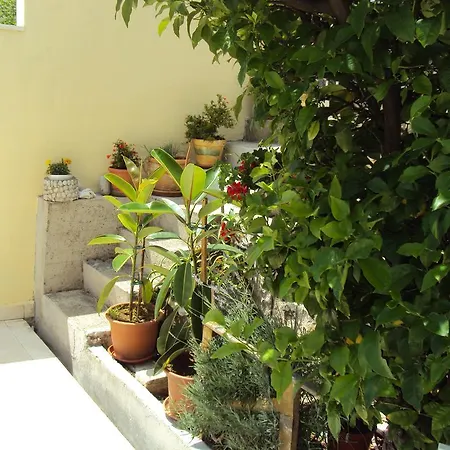 Lemon Apartamento *